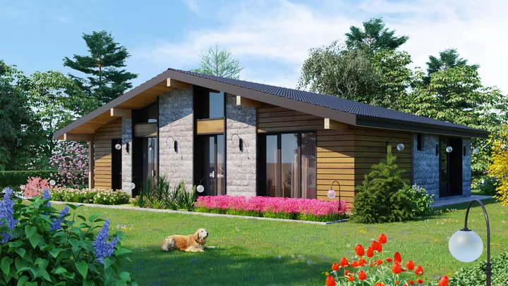 Проект на къща в с. Драгушиново